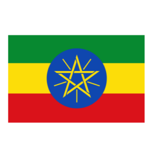 Ethiopia Life in Switzerland Concierge Ethiopia Essential Services Ethiopia Employment & Admin Help Ethiopia Paperwork & Logistics Assistance Ethiopia Relocation Services Ethiopia