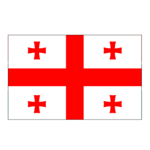 Life in Switzerland Concierge Georgia Essential Services Georgia Employment & Admin Help Georgia Paperwork & Logistics Assistance Georgia Relocation Services Georgia