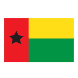 Life in Switzerland Concierge Guinea-Bissau Essential Services Guinea-Bissau Employment & Admin Help Guinea-Bissau Paperwork & Logistics Assistance Guinea-Bissau Relocation Services Guinea-Bissau