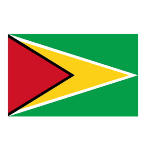 Life in Switzerland Concierge Guyana Essential Services Guyana Employment & Admin Help Guyana Paperwork & Logistics Assistance Guyana Relocation Services Guyana