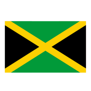 Life in Switzerland Concierge Jamaica Essential Services Jamaica Employment & Admin Help Jamaica Paperwork & Logistics Assistance Jamaica Relocation Services Jamaica