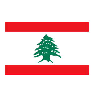 Life in Switzerland Concierge Lebanon Essential Services Lebanon Employment & Admin Hire Lebanon Paperwork & Logistics Assistance Lebanon Relocation Services Lebanon