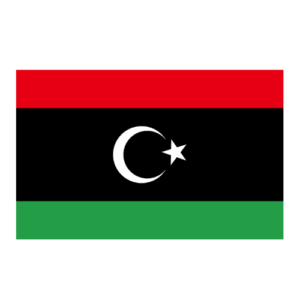 Libya Life in Switzerland Concierge Libya Essential Services Libya Employment & Admin Help Libya Paperwork & Logistics Assistance Libya Relocation Services Libya