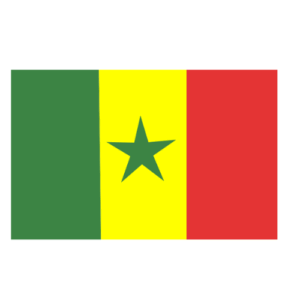 Life in Switzerland Concierge Senegal Essential Services Senegal Employment & Admin Help Senegal Paperwork & Logistics Assistance Senegal Relocation Services Senegal