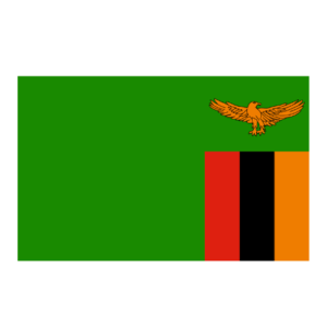 Zambia Life in Switzerland Concierge Zambia Essential Services Zambia Employment & Admin Help Zambia Paperwork & Logistics Assistance Zambia Relocation Services Zambia