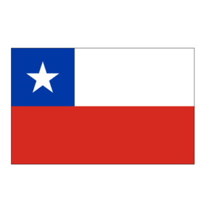 Life in Switzerland Concierge Chile Essential Services Chile Employment & Admin Help Chile Paperwork & Logistics Assistance Chile Relocation Services Chile