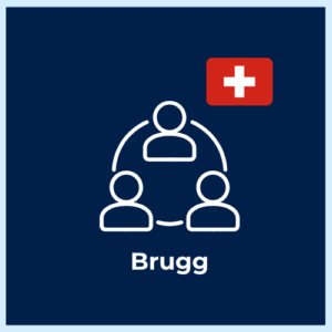 Digital Asset & Innovation Advisory – Brugg
