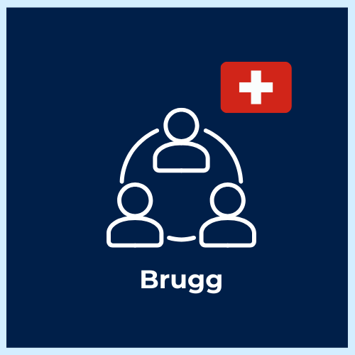 Digital Asset & Innovation Advisory – Brugg