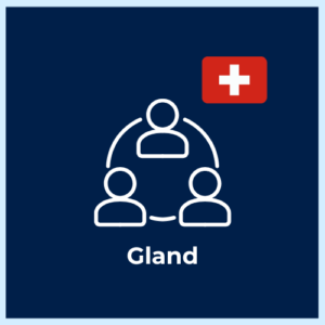 Digital Asset & Innovation Advisory – Gland