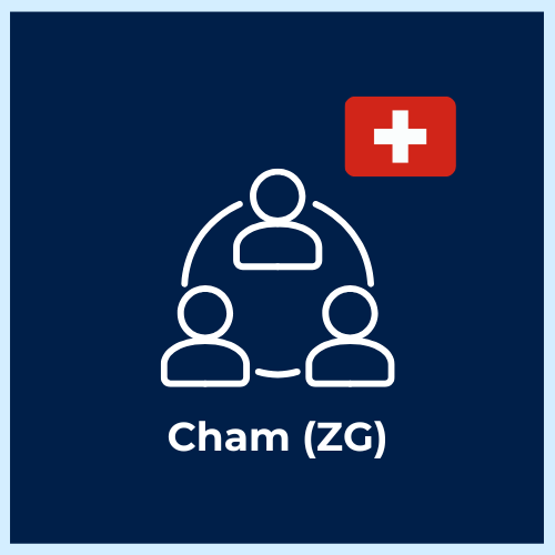 Digital Asset & Innovation Advisory – Cham (ZG)